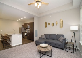 16310 Lydia Hill, Chesterfield, Missouri, United States 63017, 1 Bedroom Bedrooms, ,1 BathroomBathrooms,Apartment,Furnished,Watermark,Lydia Hill,4,1364